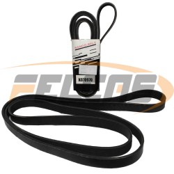 CORREA MULTICANAL VARIAS APLICACIONES