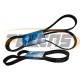 CORREA UNICA FORD CARGO 1721 CON AIRE - 8PK2035