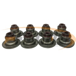 GOMA VALVULA CHEV AVEO LS LT SPEED 04-15