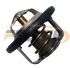 TERMOSTATO CHEVROLET AVEO  SPARK MATIZ
